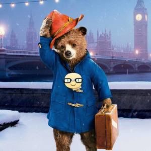 Meet your Posher, Fred